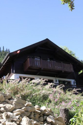 Vrijstaand chalet met prachtig uitzicht